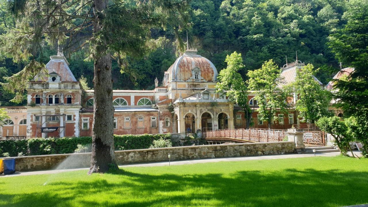 Băile HerculaneCasa Arionアパートメント エクステリア 写真