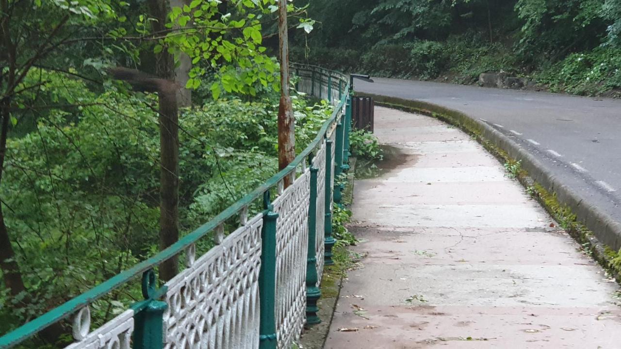 Băile HerculaneCasa Arionアパートメント エクステリア 写真