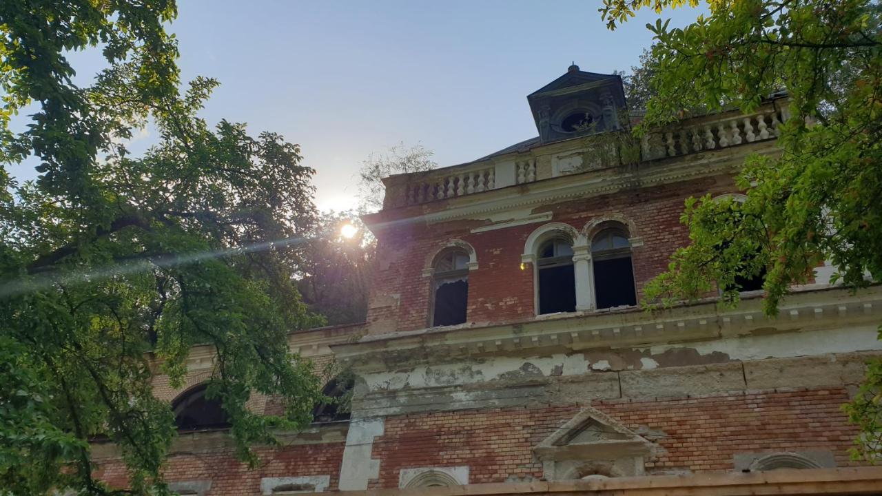 Băile HerculaneCasa Arionアパートメント エクステリア 写真
