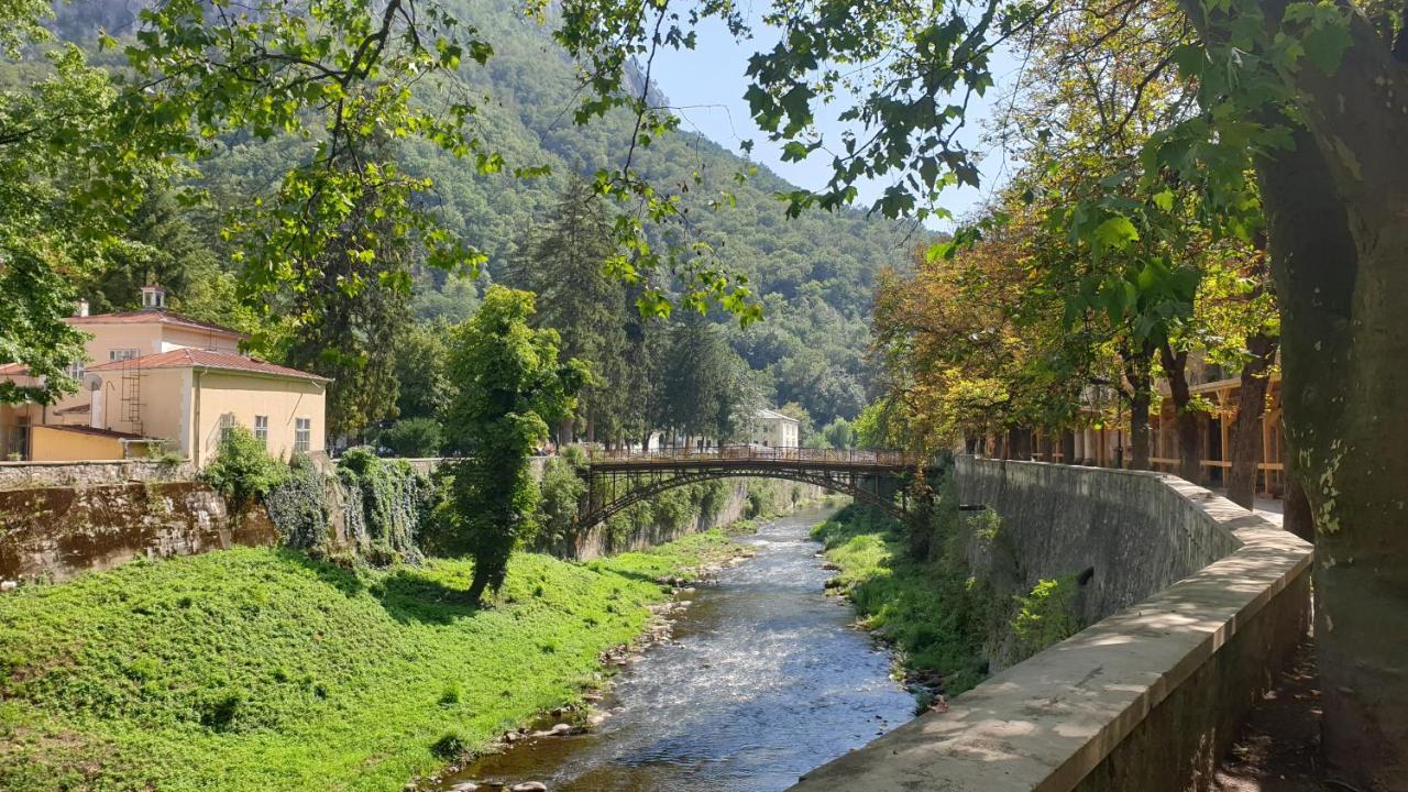 Băile HerculaneCasa Arionアパートメント エクステリア 写真