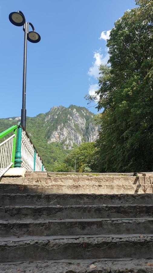 Băile HerculaneCasa Arionアパートメント エクステリア 写真