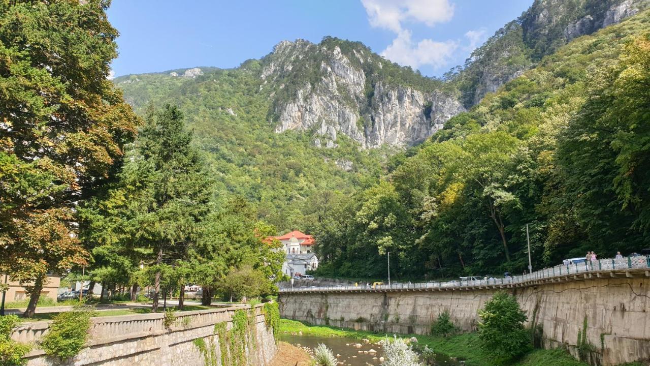 Băile HerculaneCasa Arionアパートメント エクステリア 写真